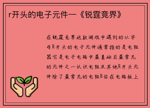 r开头的电子元件—《锐霆竞界》